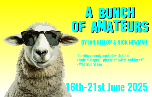 Poynton Players Production poster for A Bunch of Amateurs